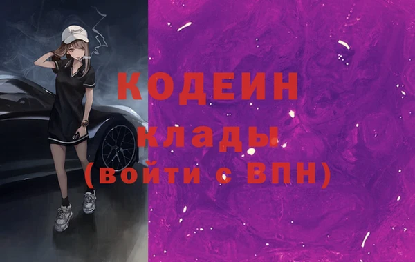 индика Баксан