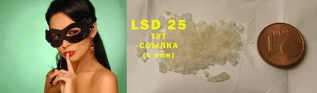 spice Балахна
