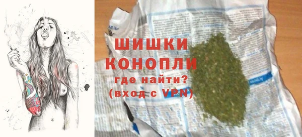 индика Баксан