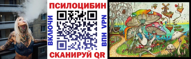где купить наркотик  Белебей  Галлюциногенные грибы прущие грибы 